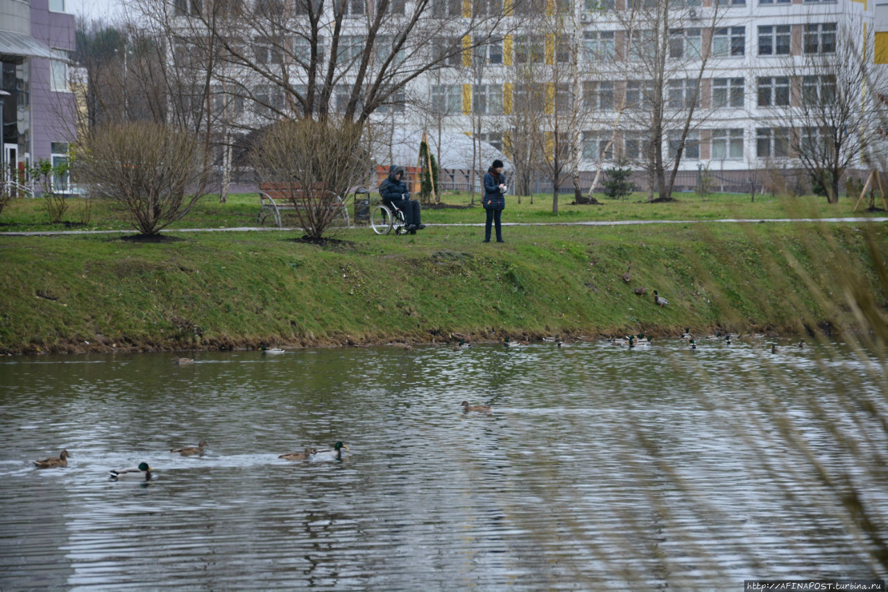 Осень в московском дворике Москва, Россия