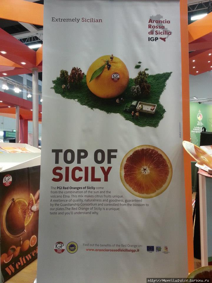 Консорциум  производителей красного сицилийского апельсина