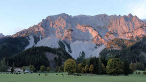 Иду домой, греться