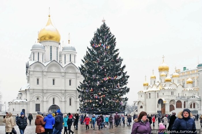 Ёлки прошлых лет. Москва, Россия