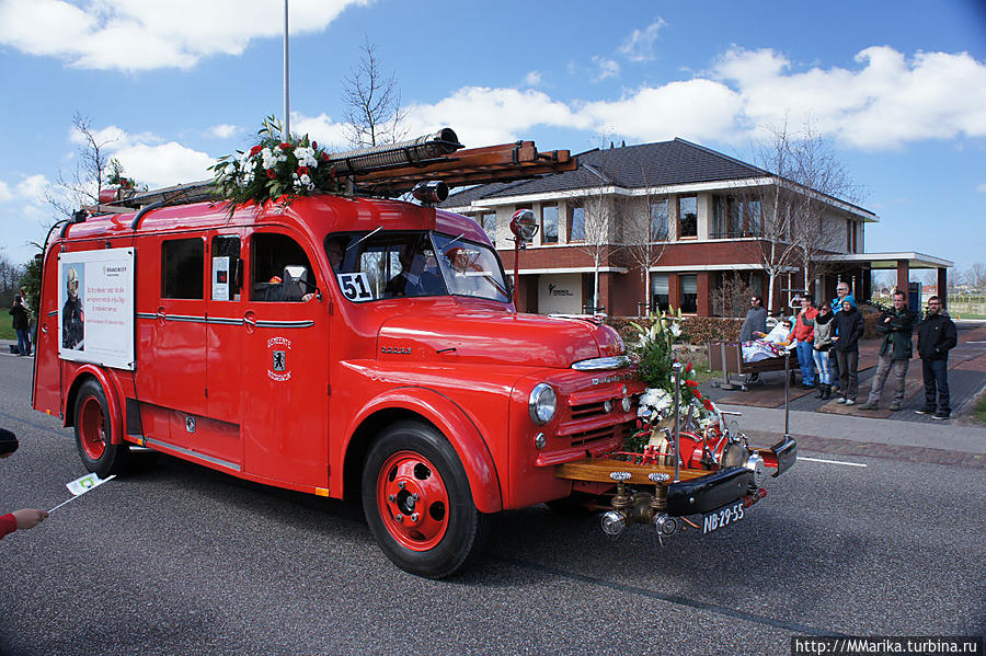 Bloemencorso Bollenstreek — парад цветов Провинция Южная Голландия, Нидерланды