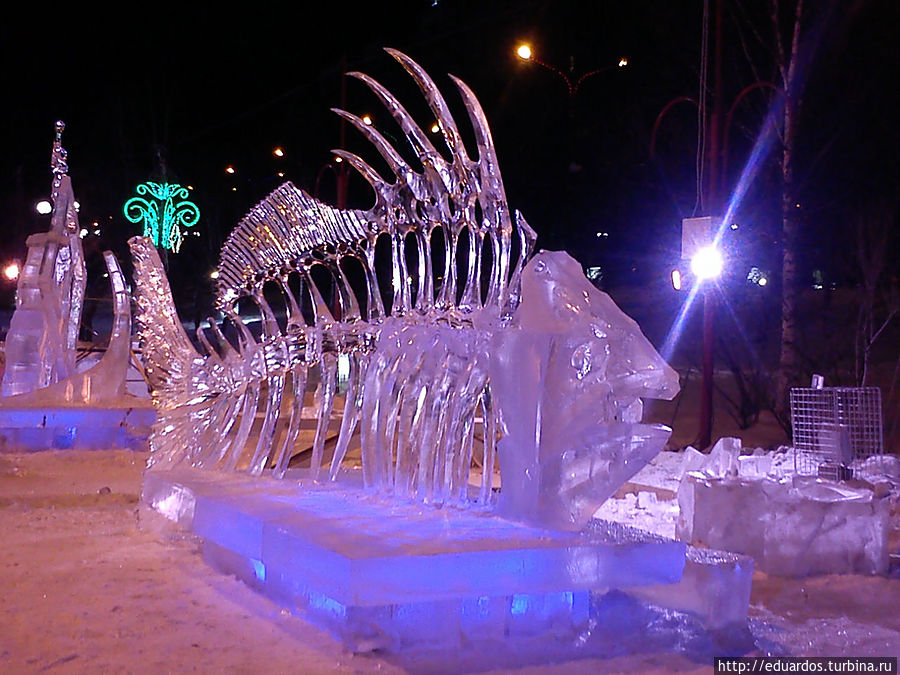 Я в восторге от этого карасика!!! Красноярск, Россия