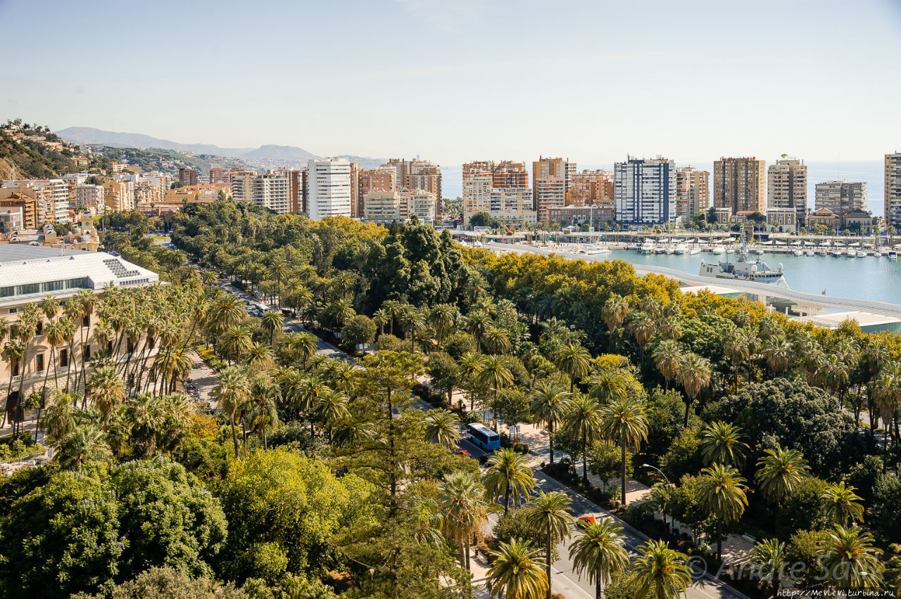 AC Hotel Málaga Palacio Малага, Испания