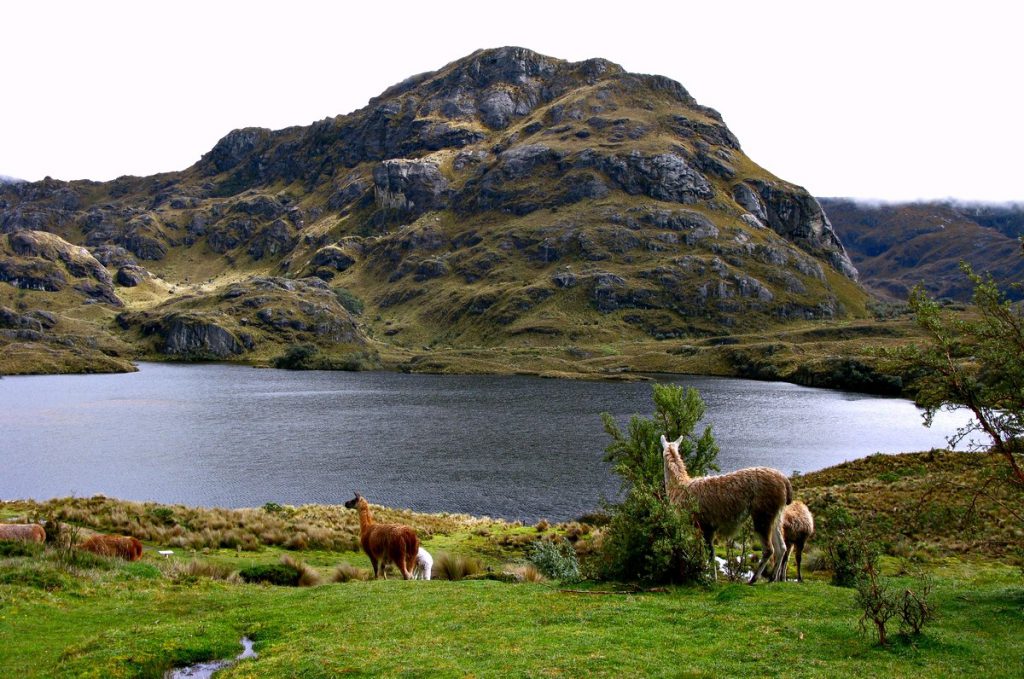 Тропа Льявиучу — часть дороги инков / Sendero Llaviucu and part of Inca trail