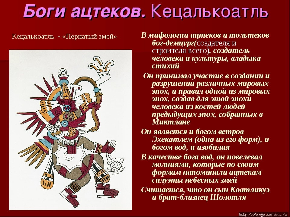 Из интернета