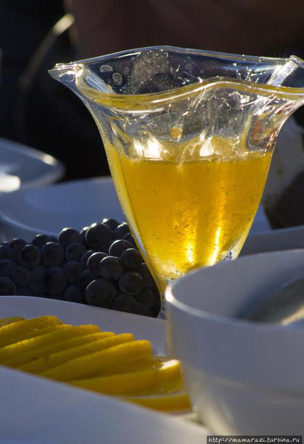 Горный мед на завтрак Тургень, Казахстан