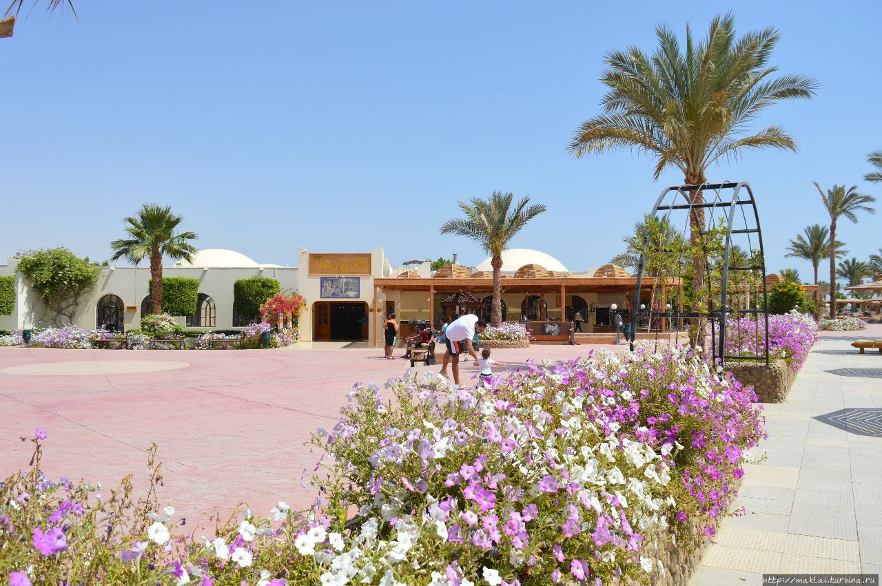 Отель Desert Rose Resort Хургада, Египет