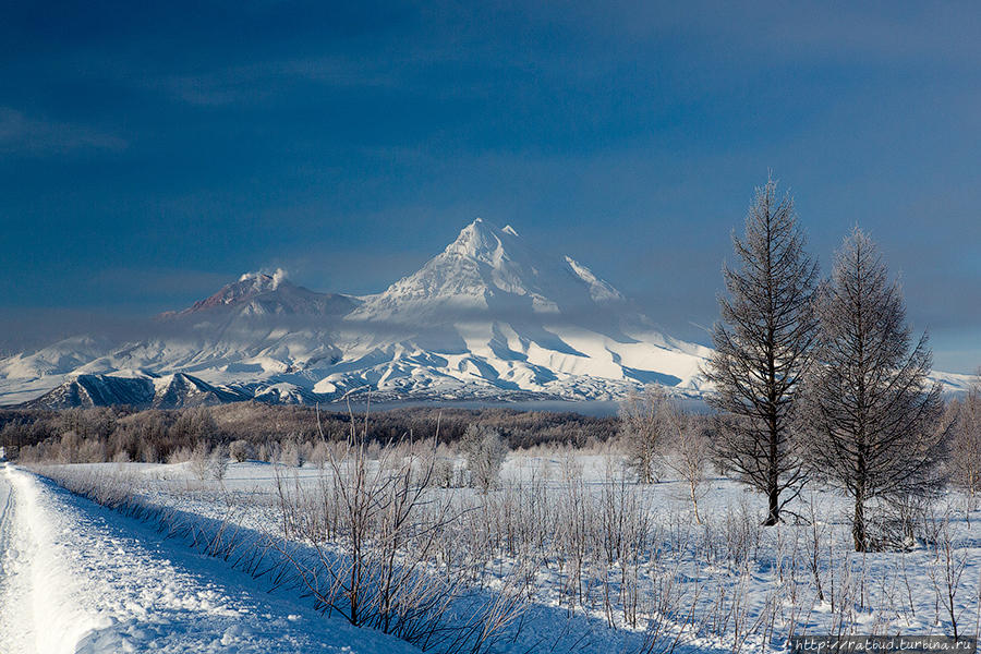 Рождественское Извержение Ключевская Сопка (вулкан 4835м), Россия