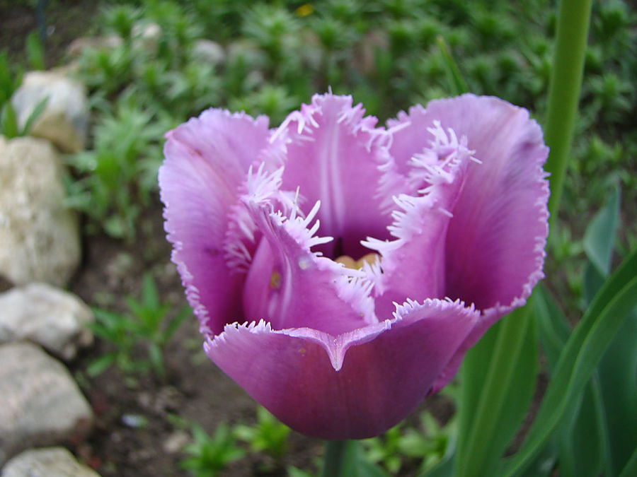 Девочки! Весна! Москва, Россия