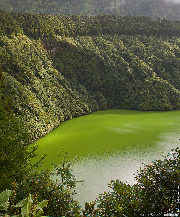 Наш путь пролегал через озеро Lagoa de Santiago. Озеро ярко зелёного цвета, видимо благодаря вулканической природе окружающих пород в нём есть некое вещество окрашивающее воду в такой яркий цвет. Говорят первые поселенцы прорубившие дорогу к нему в лесу воскликнули 