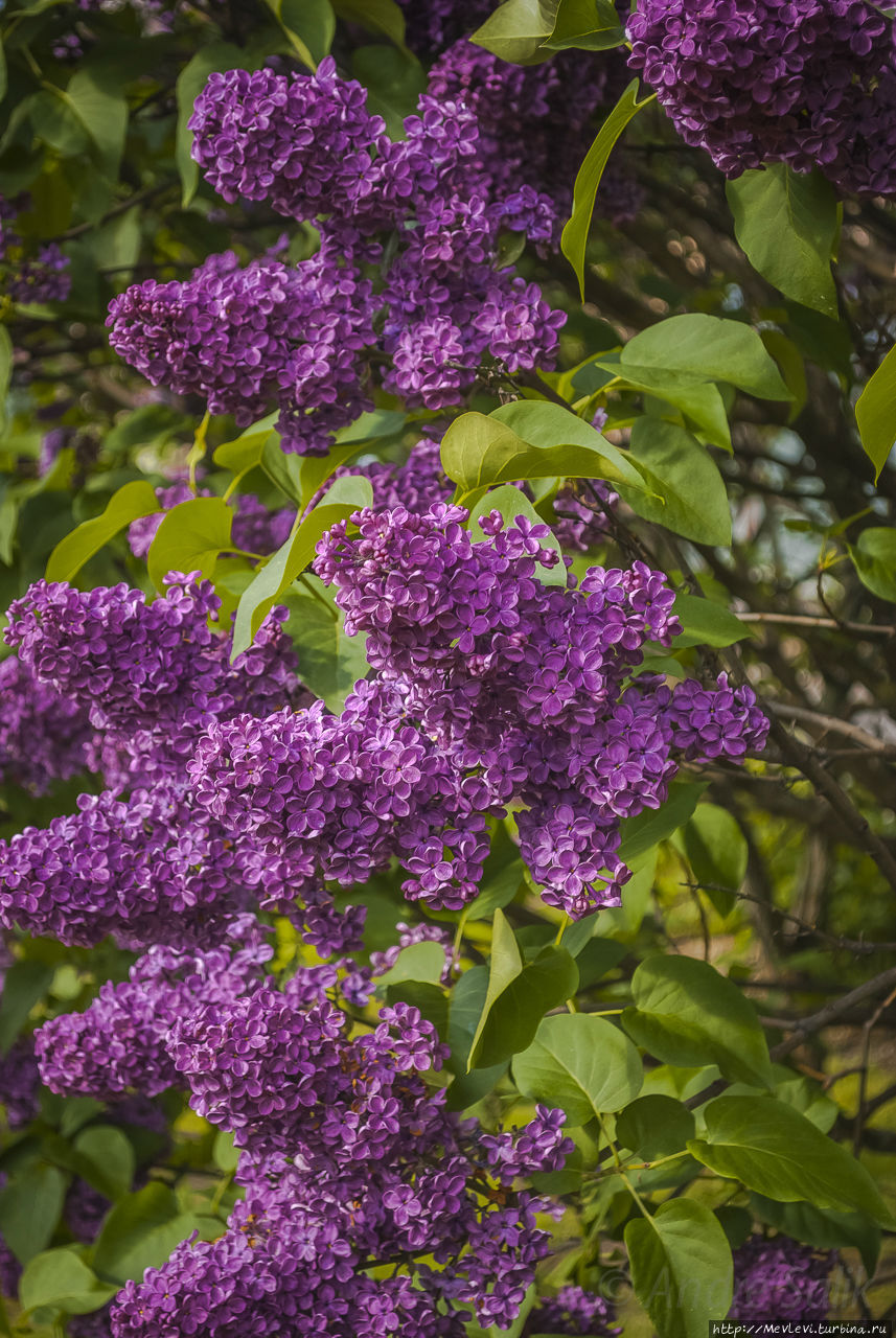 В воскресенье у Оперного Рига, Латвия
