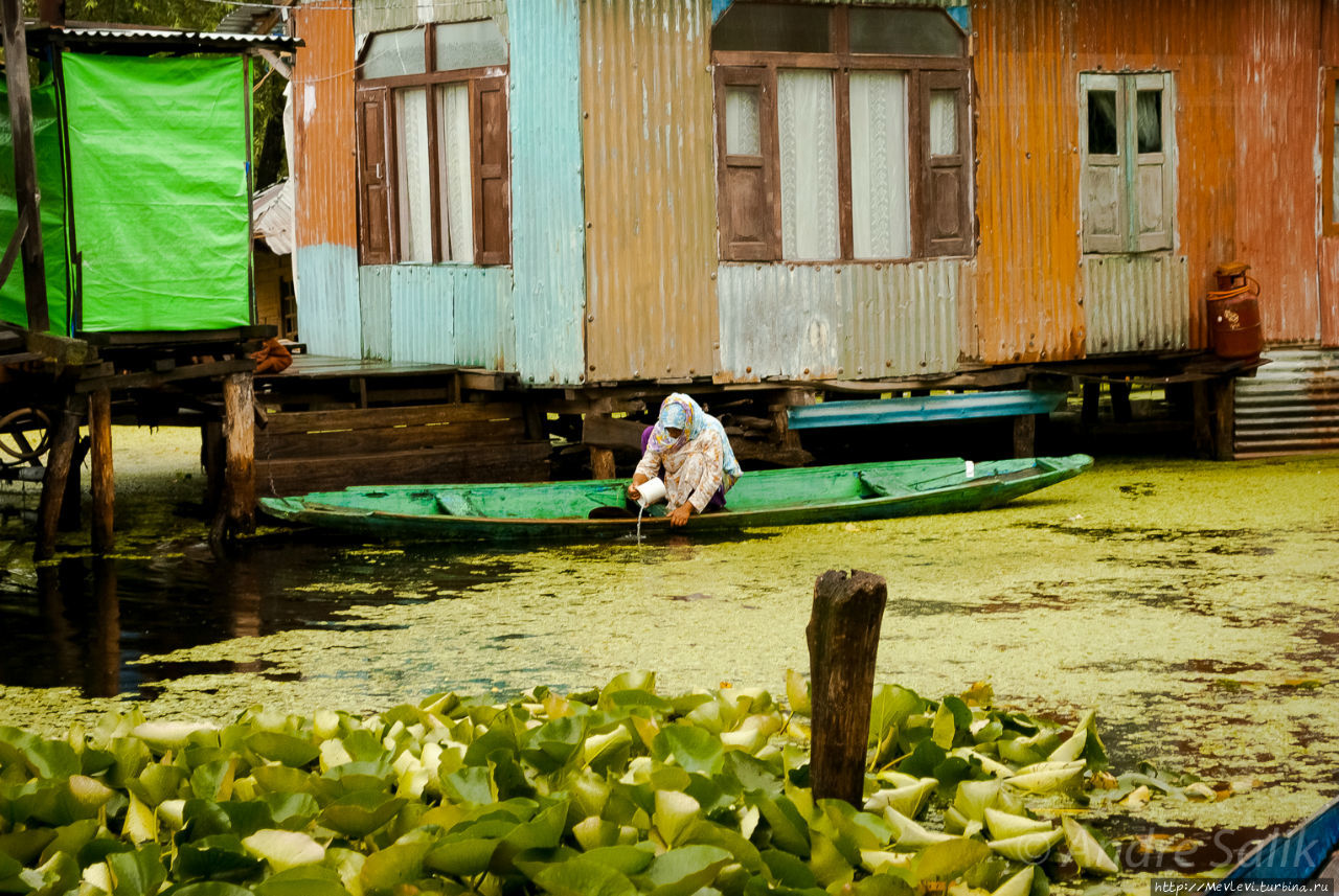Озеро Дал с утреца Шринагар, Индия