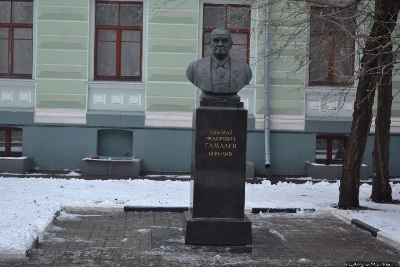 Памятник Н.Ф.Гамалее / The Monument To N. F.Gameleya