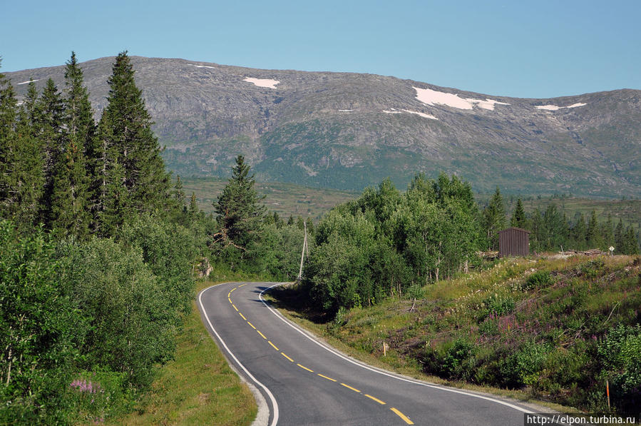E6 Арктик-хайвей Arctic Highway — главная трасса Норвегии, которая протянулась с юга на север через всю страну — от Осло до приграничного Киркенеса. Норвегия