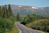 E6 Арктик-хайвей Arctic Highway — главная трасса Норвегии, которая протянулась с юга на север через всю страну — от Осло до приграничного Киркенеса.