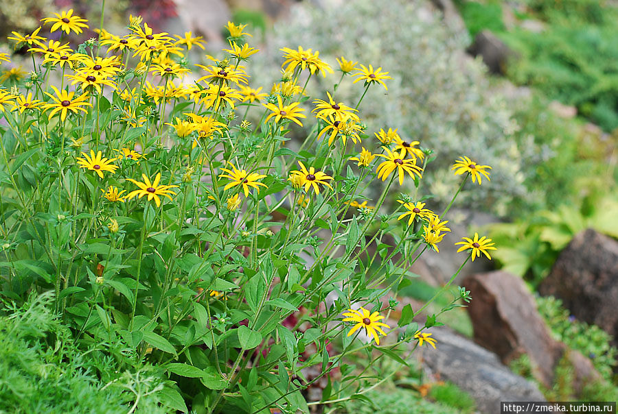 Рай для ботаника Тарту, Эстония