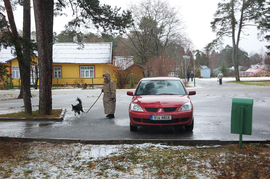 Дама с собачкой Вызу, Эстония