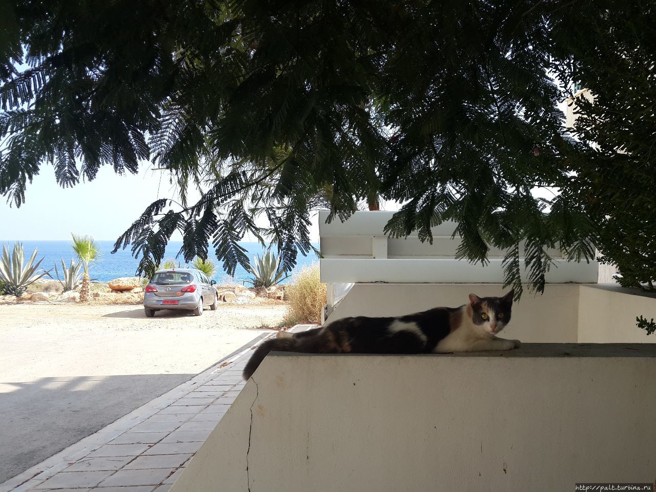 Три минуты и море!!! А вилла под надежной охраной Протарас, Кипр
