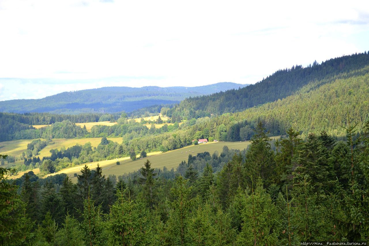 Тропа в кронах деревьев Липно-над-Влтавой, Чехия