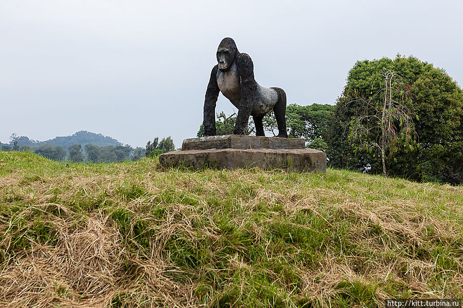 У ворот парка нас встречает памятник обитателям. Национальный парк Кахузи-Биега, ДР Конго