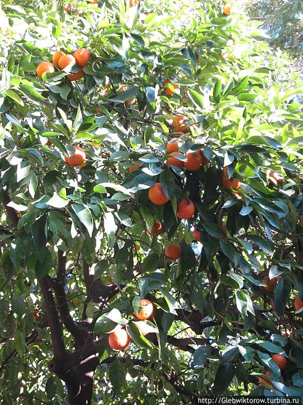 Фес. Медина Фес, Марокко