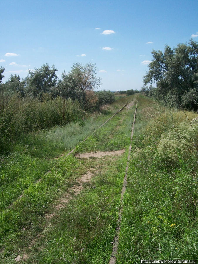 Музей Кара-Тобе Саки, Россия