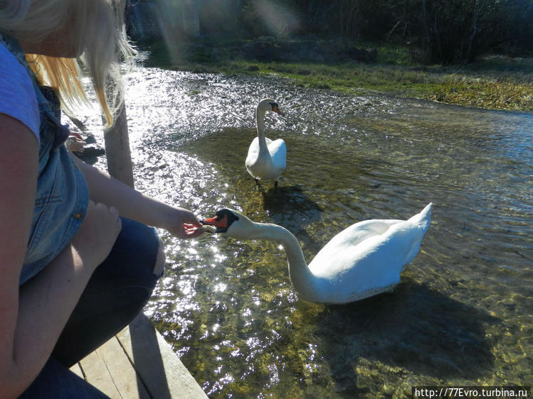 Вода из источников впадае