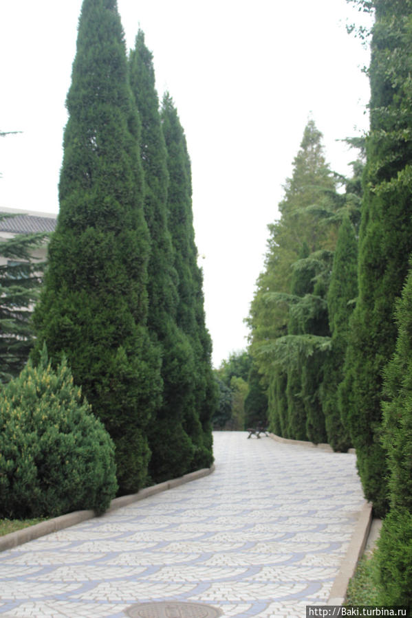очень красивый сад  на выходе из третьего павильона Сиань, Китай