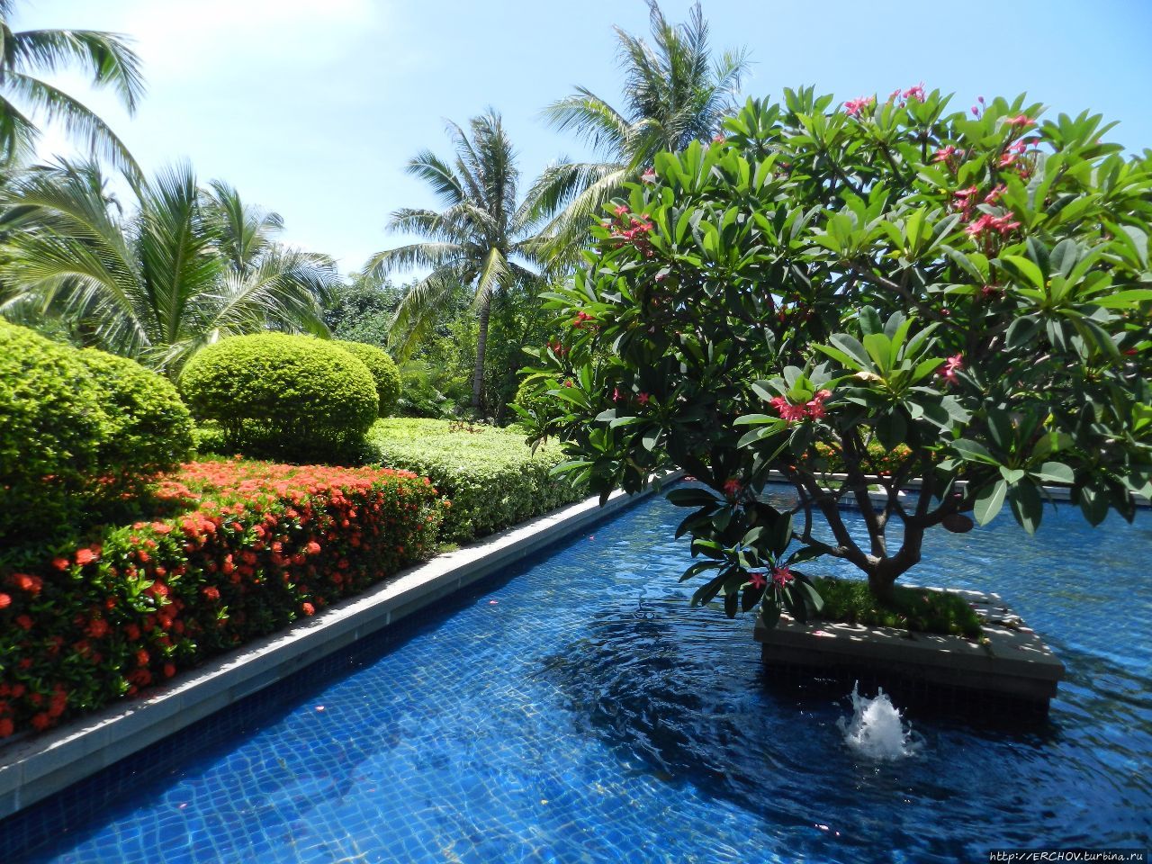 Китай и Россия. Размышления дилетанта Китай