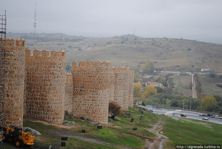 средняя высота – 12 метров
