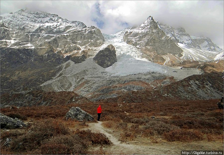 Отсюда ледник был как на ладони Лангтанг, Непал