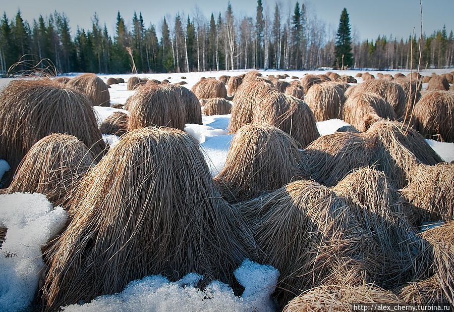 Не знаю -что это такое? по дороге на Саллу