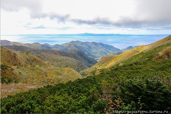 фото из интернета Национальный парк Сиретоко, Япония