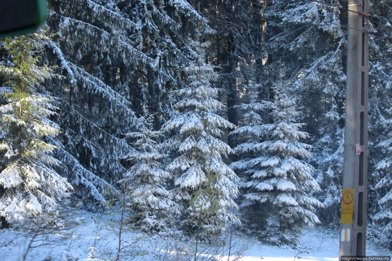 А в Румынии снег!