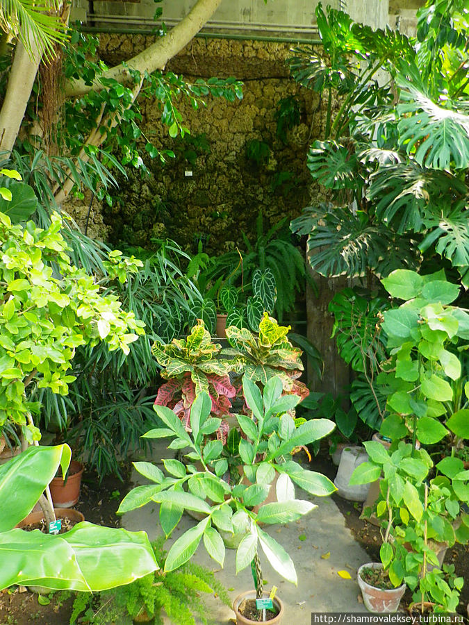 Феррара. Ботанический сад Феррара, Италия