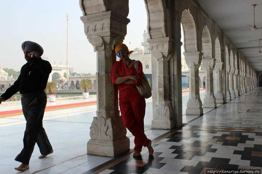 Дели. Белоснежный сикский храм Дели, Индия
