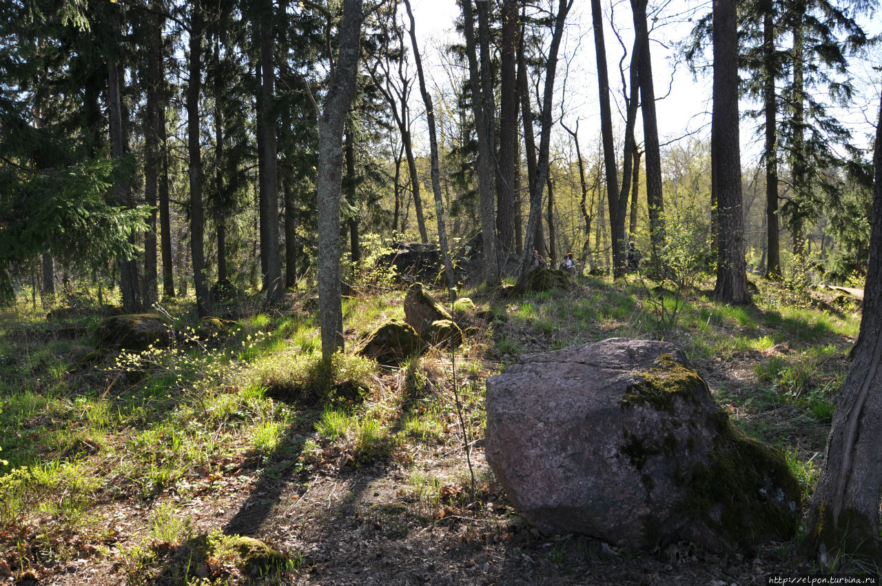 Два визита в Выборг Выборг, Россия