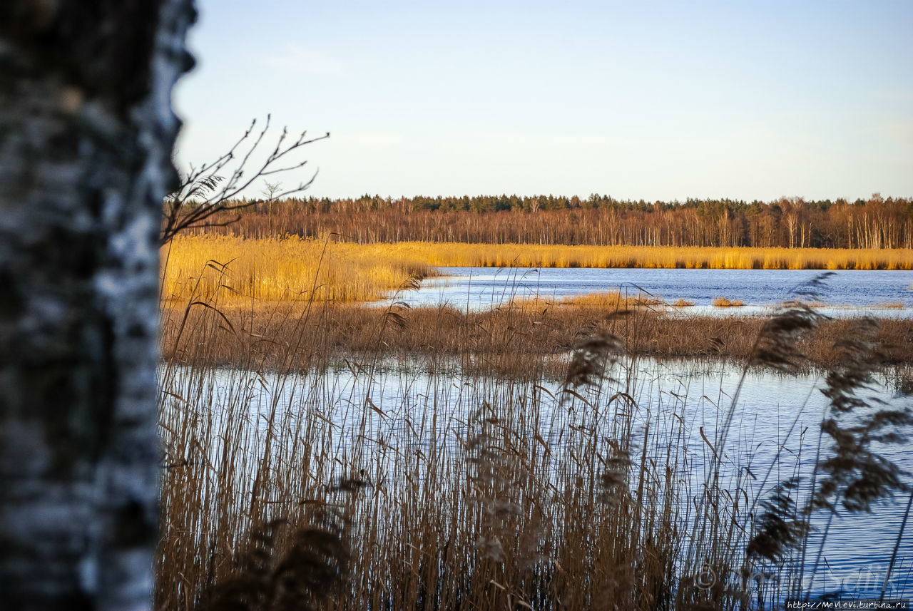Озеро Слокас Кемери, Латвия