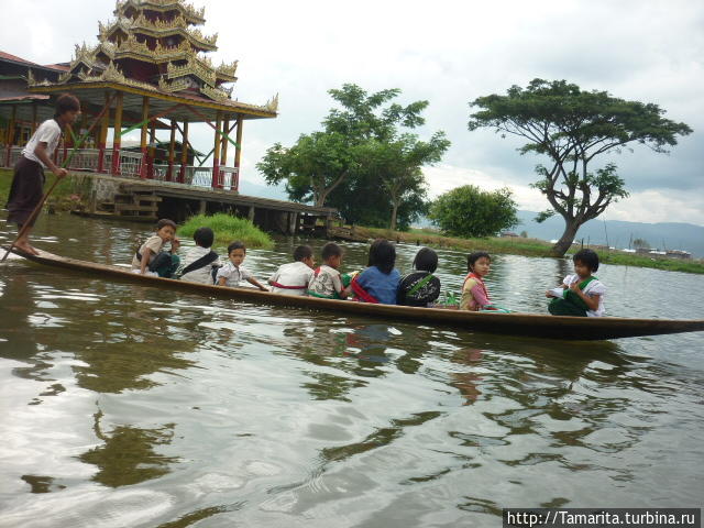 Озеро Инле и подставные падаунги Озеро Инле, Мьянма