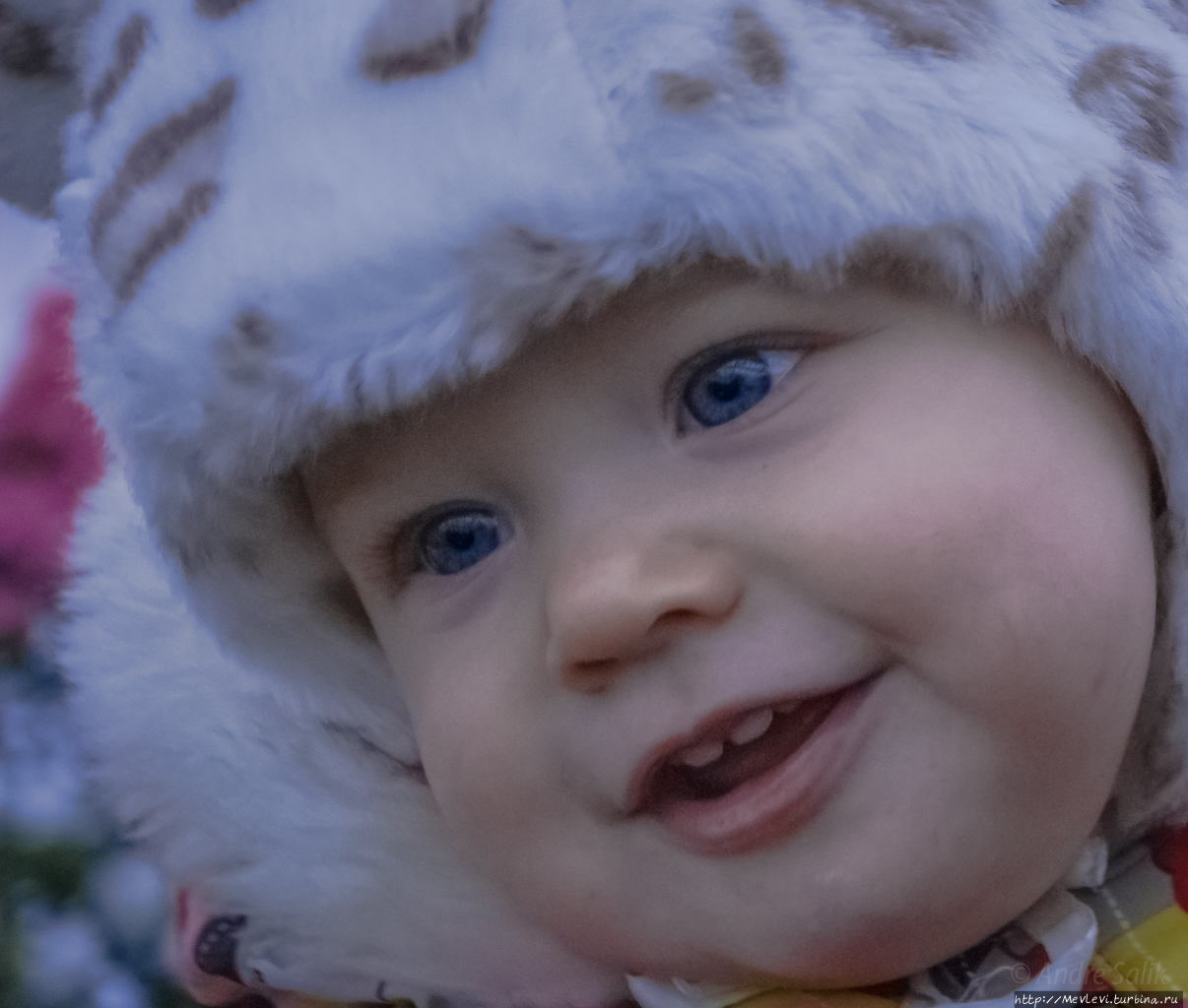 Среди азалий Рига, Латвия