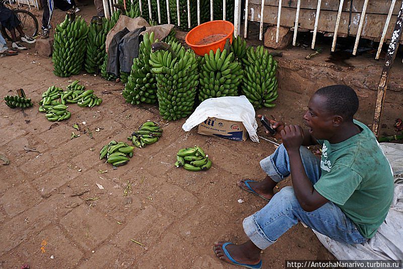 Зеленые бананы, которые варят или тушат. Кигали, Руанда