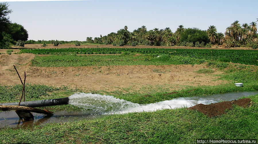 Нил в районе Солеба Штат Северный, Судан
