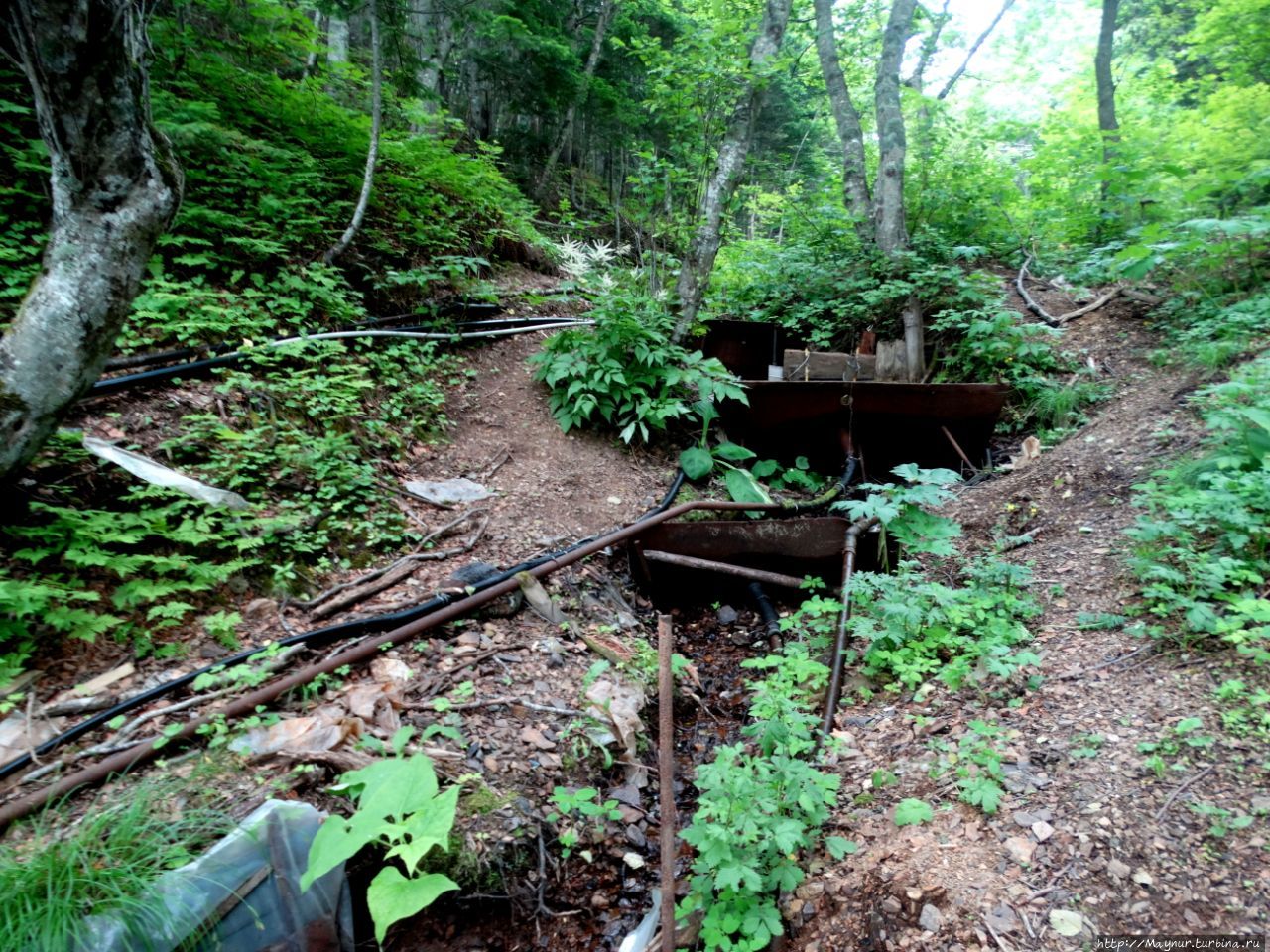 Родники мои, родники Долинск, Россия Родники мои, родники Долинск, Россия