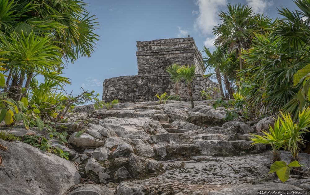 Из интернета Из интернета