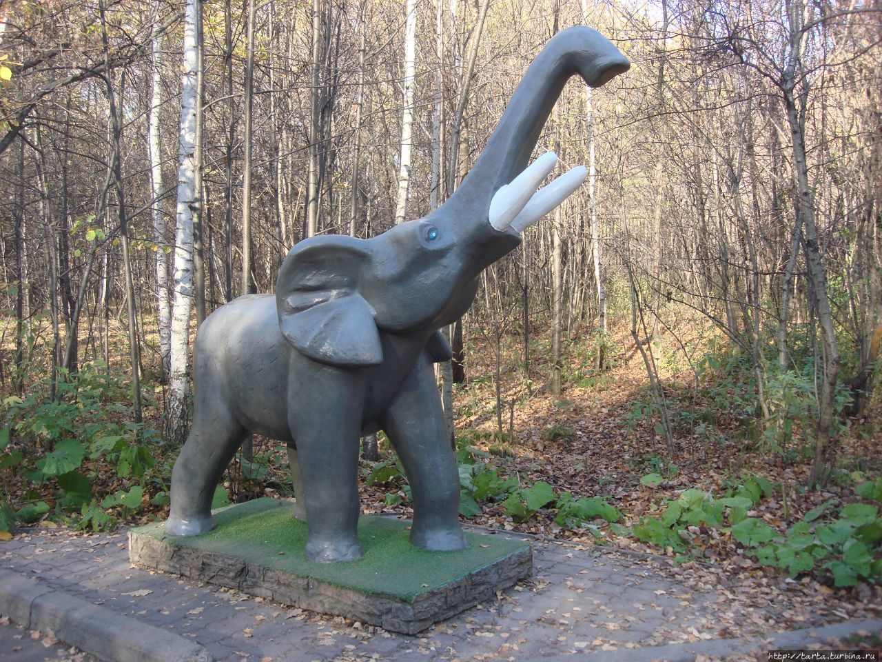 Новости из зоопарка Новосибирск, Россия