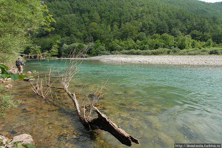 Эко-отдых на реке Тара Жабляк, Черногория