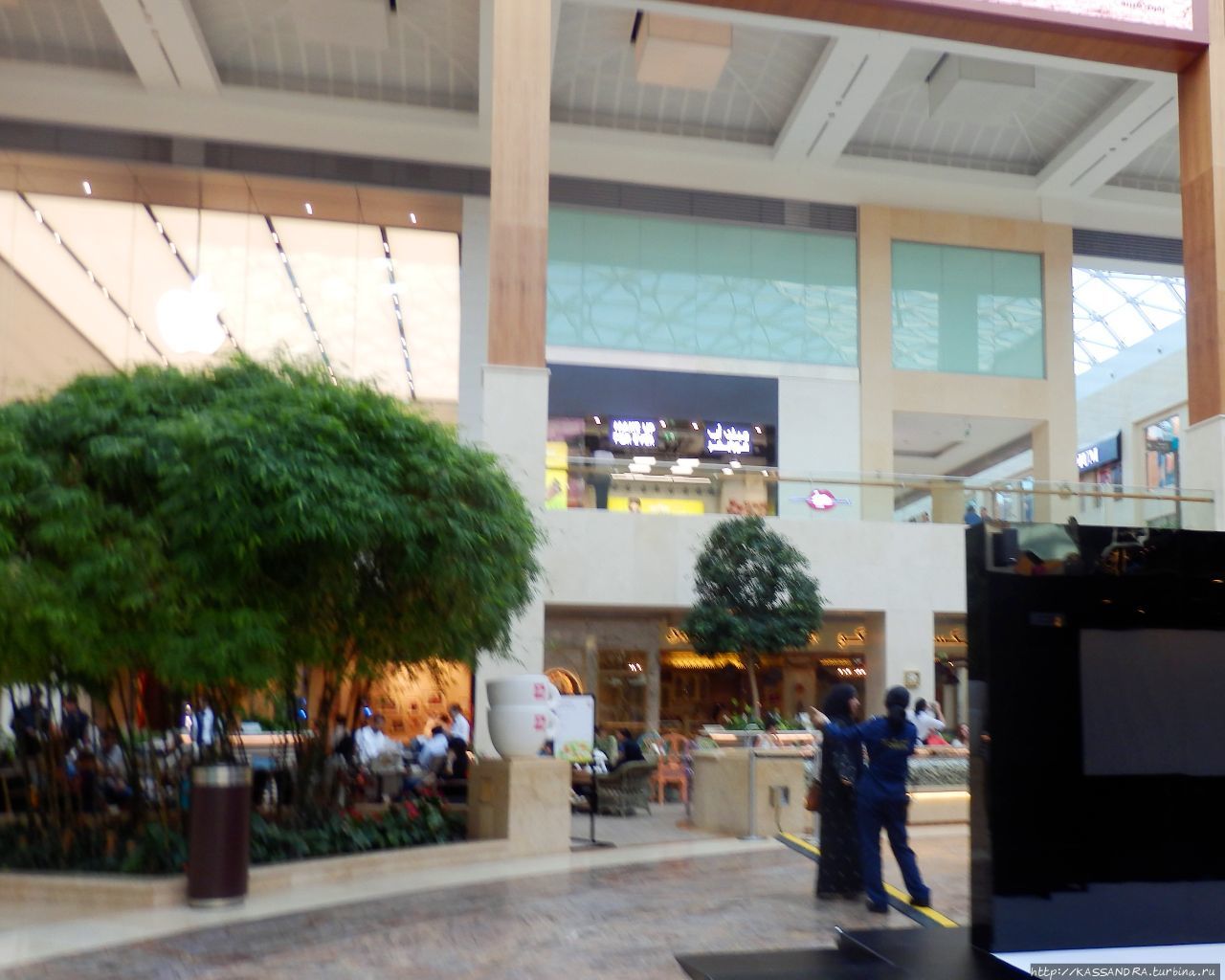 Бумажные  инсталляции  Гентенара. Yas Mall в Абу-Даби