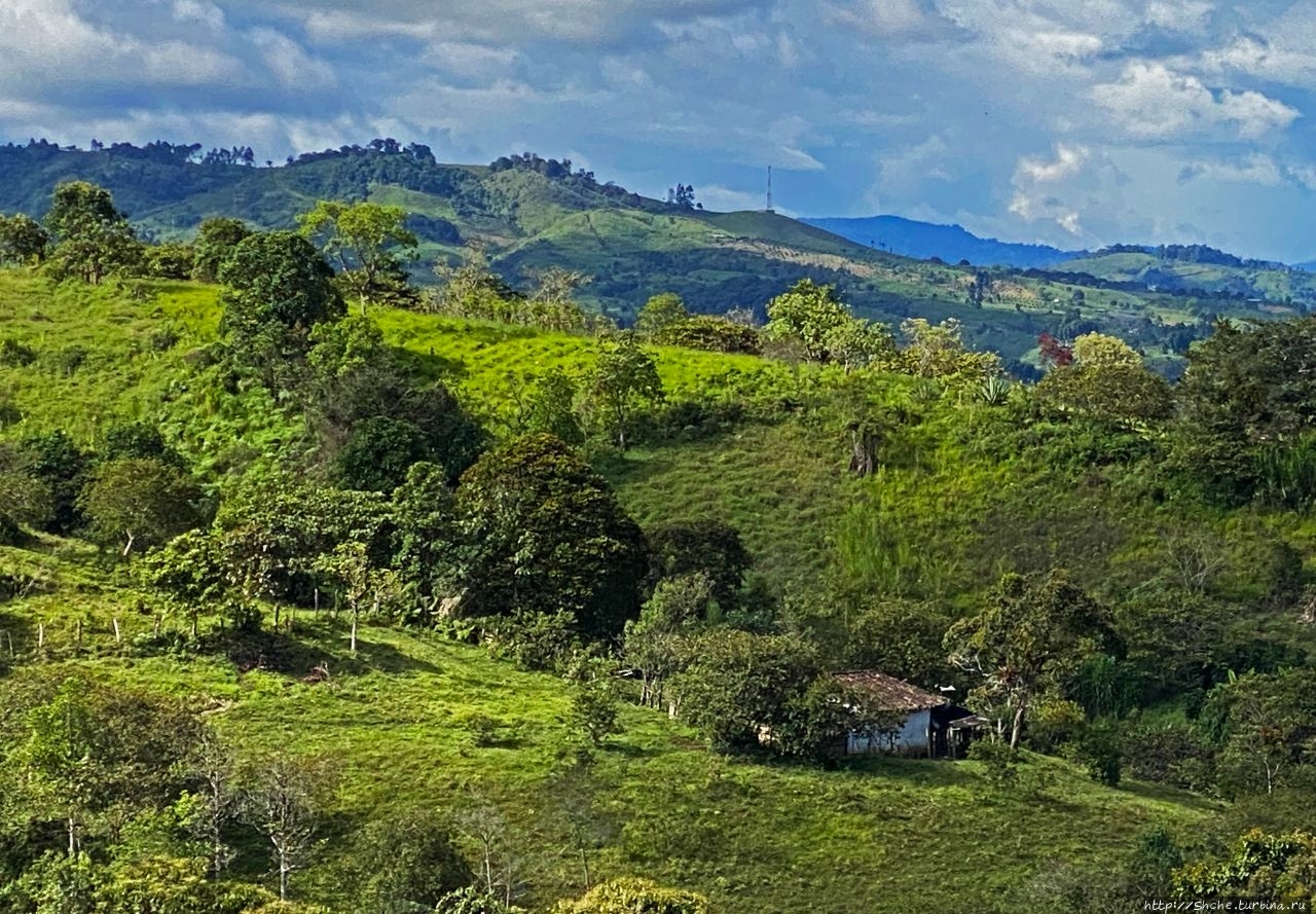 Эль Пурутал Сан-Агустин, Колумбия