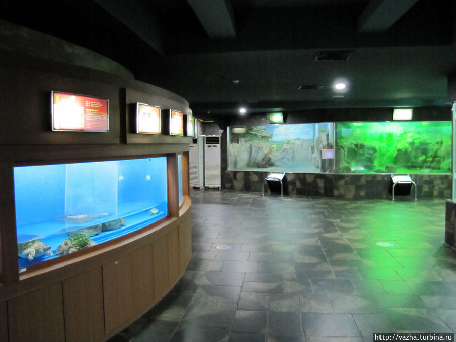 Морской музей естественной истории Пусана. Третья часть. Пусан, Республика Корея