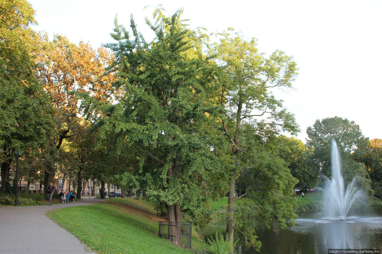Осенняя Рига Рига, Латвия
